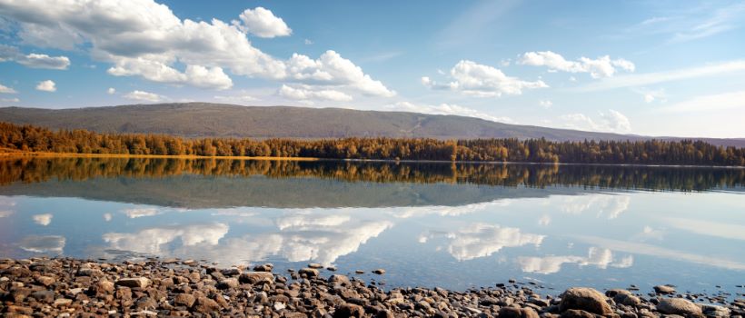 budbilfirma Steinkjer