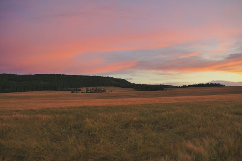 budbilfirma Stjørdal