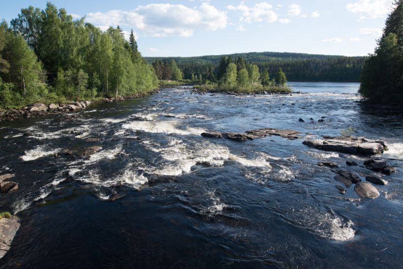 transportfirma Elverum