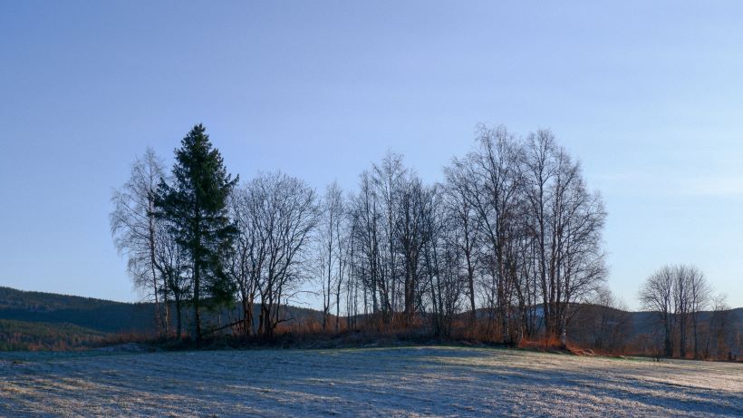 varetaxi Hurdal