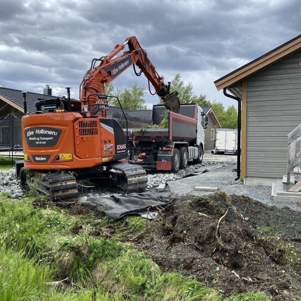 kåre hallonen bilde 1